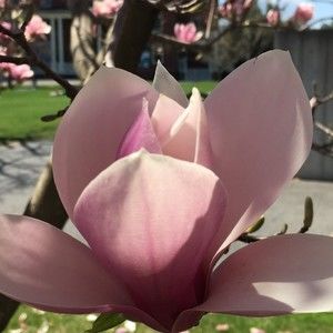 Meet your Posher, Kathy